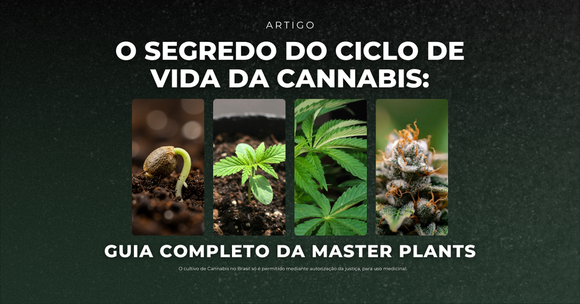 Fotoperíodo O Segredo do Ciclo de Vida da Cannabis – Guia Completo da Master Plants