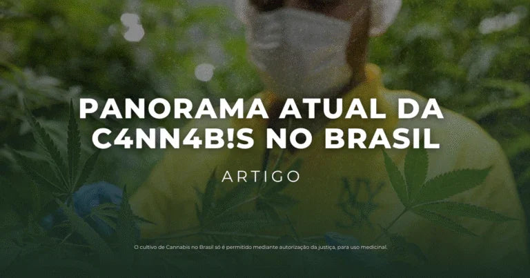 Panorama atual da cannabis no Brasil
