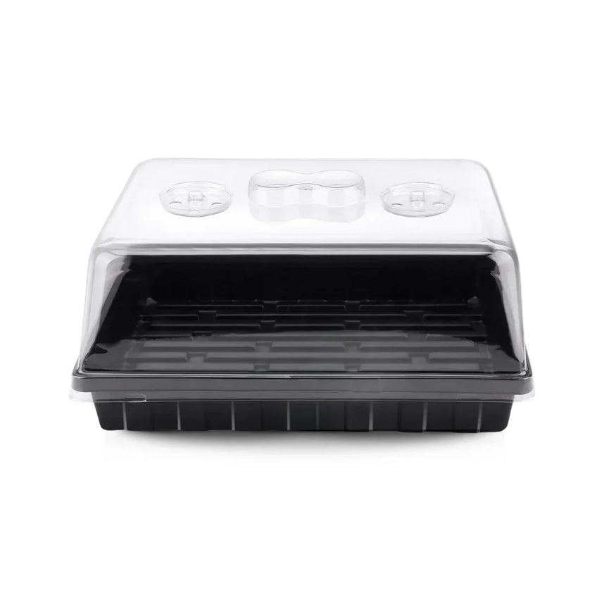 Estufa para Propagação de Clones Mudas Cultivo Indoor