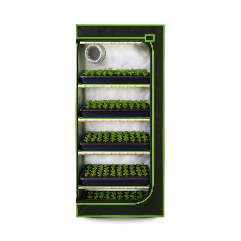 Estufa Propagação 60x40x200cm Indoor Tecido Mylar Refletivo