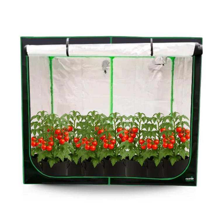 Estufa 240x120x200cm Tenda Grow para Cultivo Indoor Tecido Mylar Refletivo