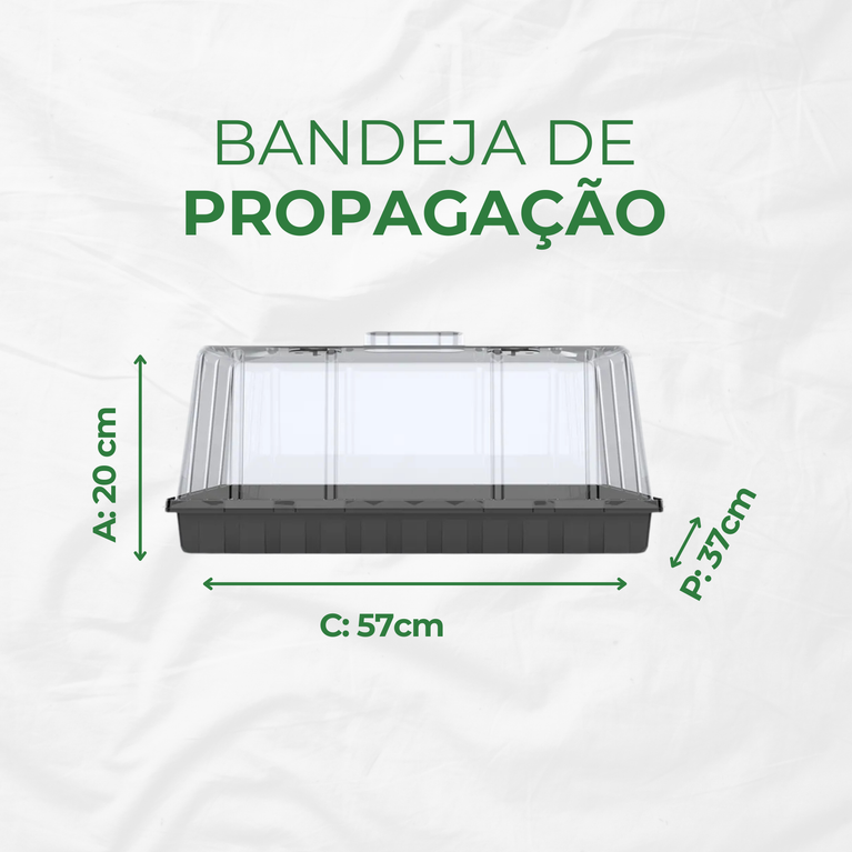 Estufa para Propagação de Clones Mudas Cultivo Indoor