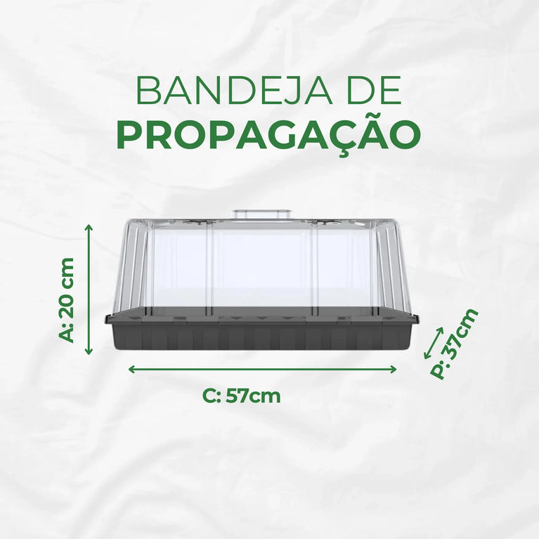 Estufa para Propagação de Clones Mudas Cultivo Indoor