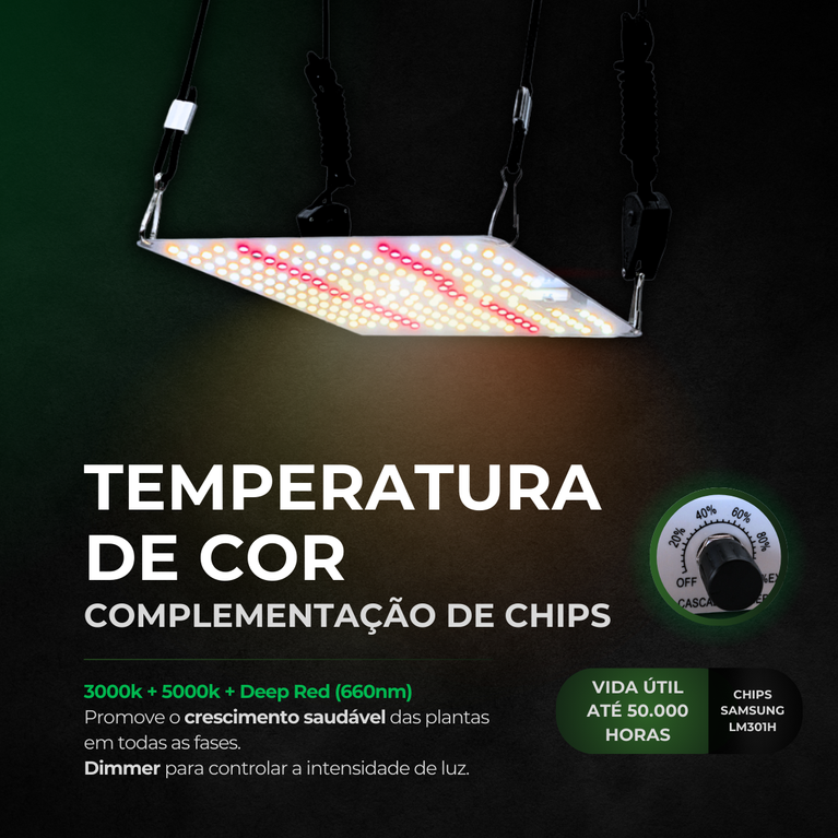 Kit de Cultivo Estufa 60x60x160 + Quantum Board 65w PRO Samsung LM301H EVO