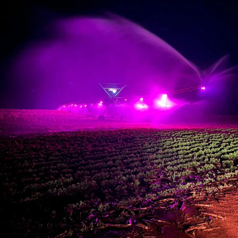 Painel de Led Master Plants Standard Pivô R&B 220V 33W