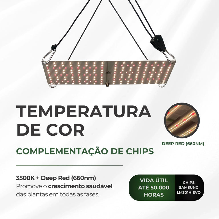 Kit Cultivo Grow Completo Estufa 60x60x160cm + LED Qb 65W Samsung LM301H EVO + Exaustor 100MM Branco + Filtro 100mm 300m³