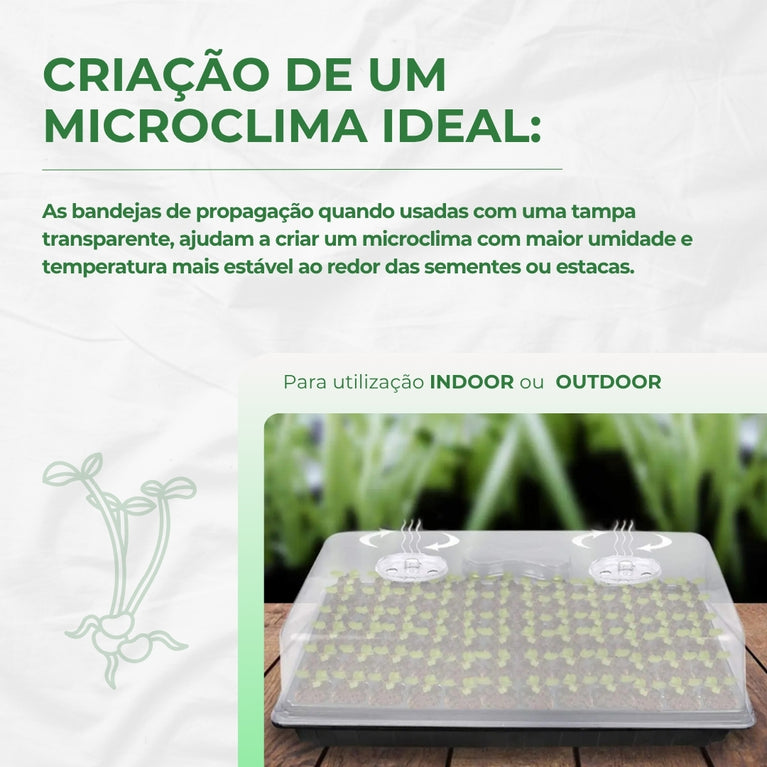 Estufa para Propagação de Clones Mudas Cultivo Indoor