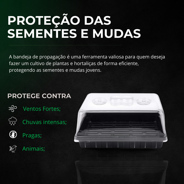 Estufa para Propagação de Clones Mudas Cultivo Indoor