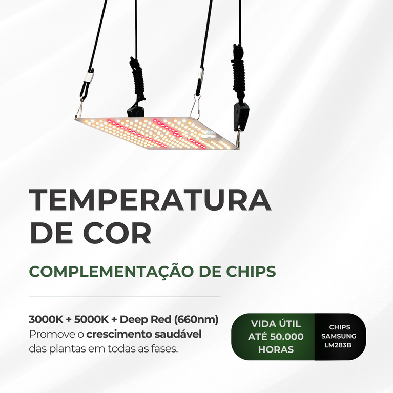 Kit Cultivo Grow Completo Estufa 60x60x160cm + LED Qb 65W Samsung LM283B + Exaustor 100MM Branco + Filtro 100mm 300m³