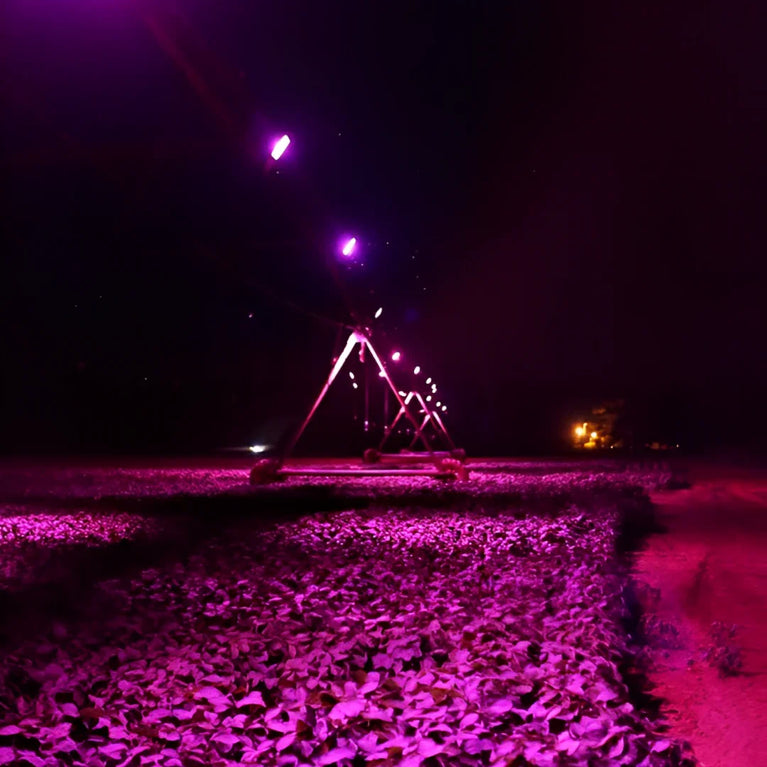 Painel de Led Master Plants Standard Pivô R&B 220V 175W