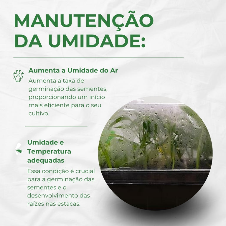 Estufa para Propagação de Clones Mudas Cultivo Indoor