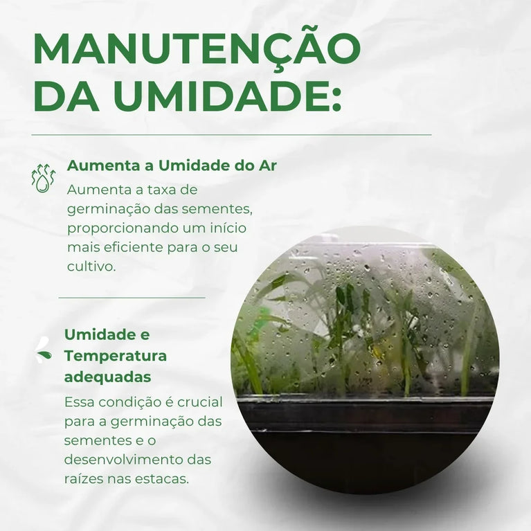 Estufa para Propagação de Clones Mudas Cultivo Indoor