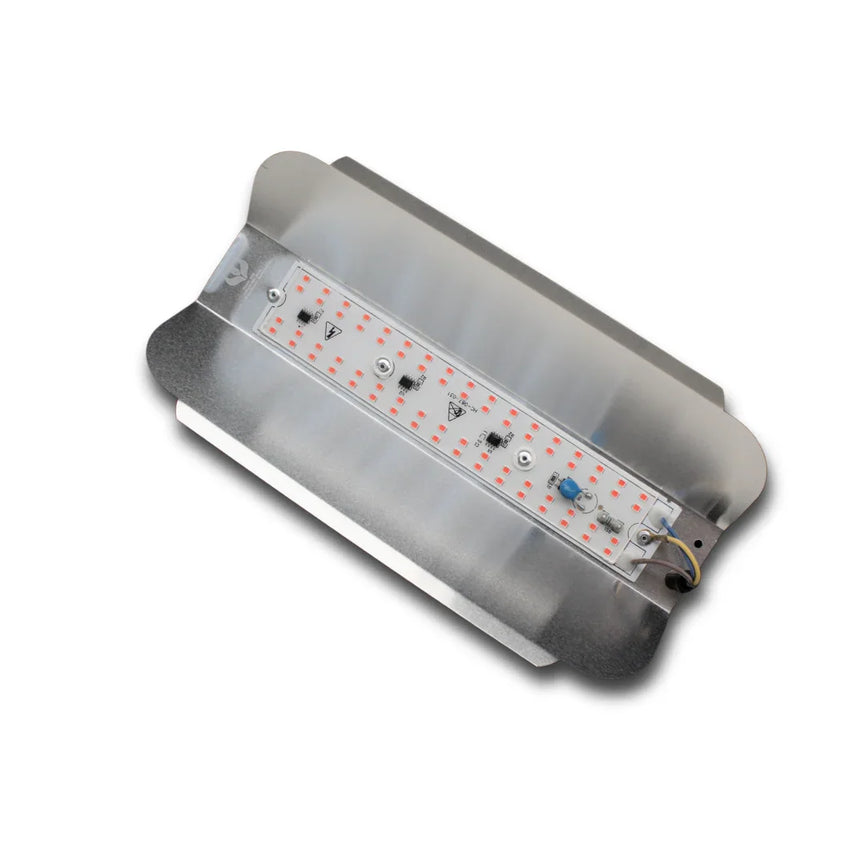 Painel de Led Master Plants Standard Pivô R&B 220V 33W