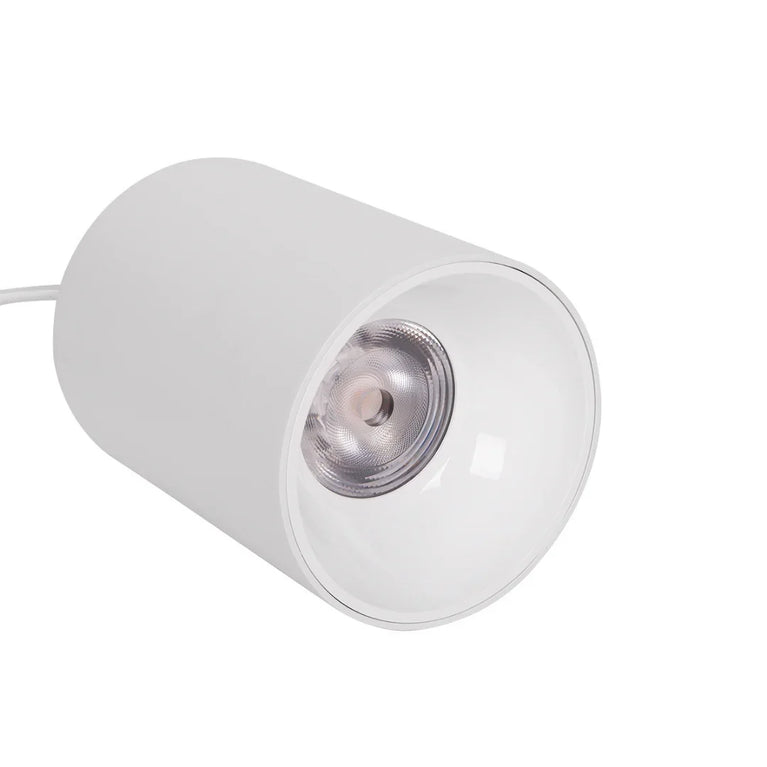 Luminária Led Paisagismo Master Plants Pendant 3000K 20° 40W