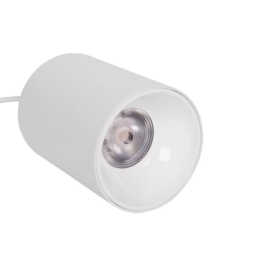 Luminária Led Paisagismo Master Plants Pendant 3000K 20° 40W