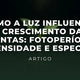 Como a Luz Influencia o Crescimento das Plantas: Fotoperíodo, Intensidade e Espectro