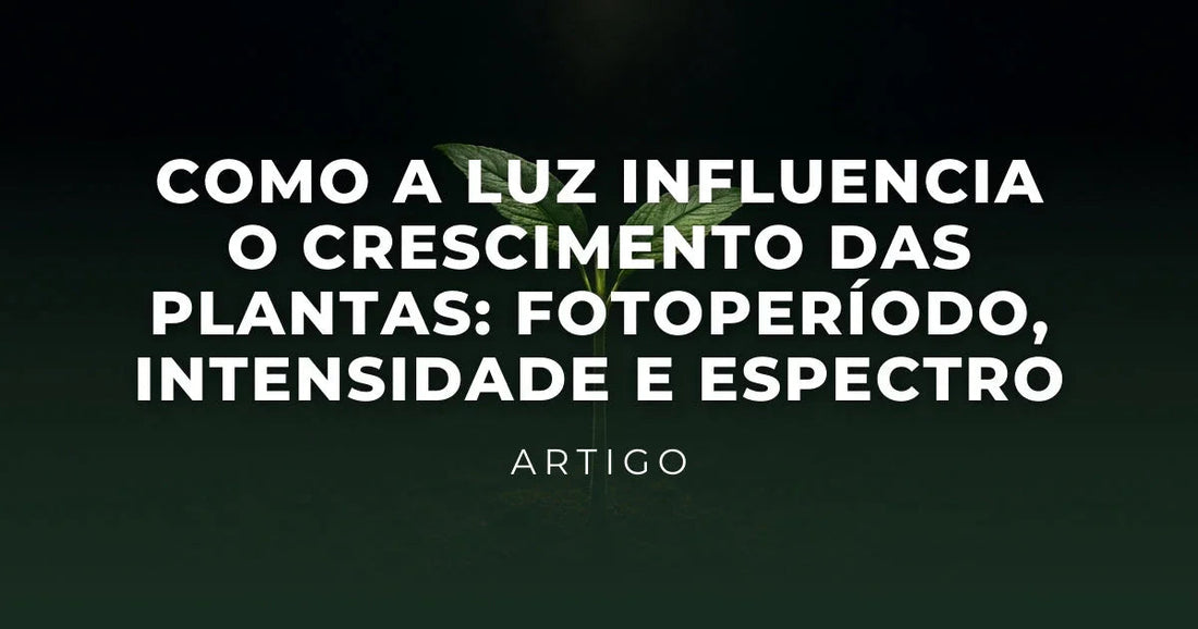 Como a Luz Influencia o Crescimento das Plantas: Fotoperíodo, Intensidade e Espectro