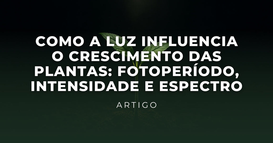 Como a Luz Influencia o Crescimento das Plantas: Fotoperíodo, Intensidade e Espectro