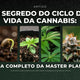 Fotoperíodo O Segredo do Ciclo de Vida da Cannabis – Guia Completo da Master Plants