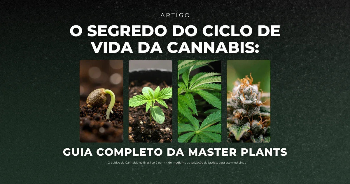 Fotoperíodo O Segredo do Ciclo de Vida da Cannabis – Guia Completo da Master Plants