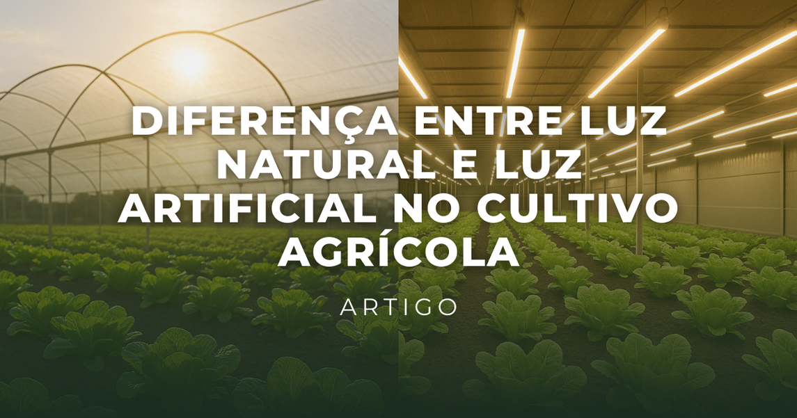 Diferença Entre Luz Natural e Luz Artificial no Cultivo Agrícola