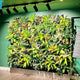 Desafios do Paisagismo Indoor: Luz e Nutrição para Plantas Saudáveis