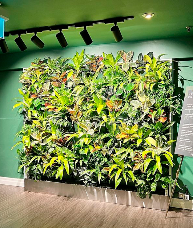 Desafios do Paisagismo Indoor: Luz e Nutrição para Plantas Saudáveis
