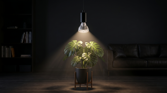 Planta Monstera em ambiente interno iluminada por lâmpada LED grow light, demonstrando iluminação artificial para plantas ornamentais em decoração indoor residencial