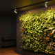 Jardim vertical interno iluminado com Rail LED para plantas, proporcionando iluminação uniforme e crescimento saudável em parede verde residencial.