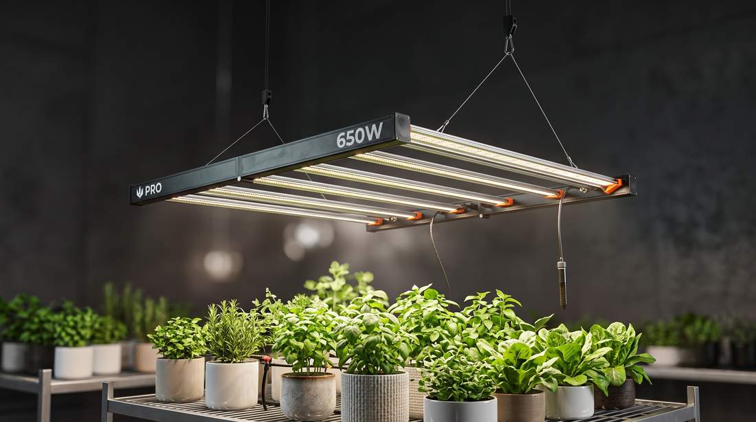 Painel LED Quantum Bar PRO 650W para cultivo indoor iluminando hortaliças e ervas em ambiente controlado, com espectro completo, alta eficiência e tecnologia para crescimento saudável das plantas.