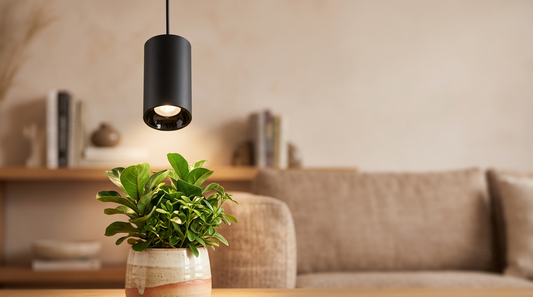 Luminária LED pendente iluminando planta de interior em vaso, demonstrando luz artificial para cultivo e crescimento saudável em ambiente residencial.