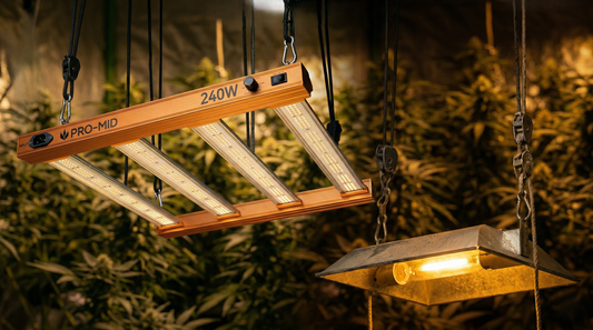 Painel LED grow 240W PRO-MID Master Plants comparado com lâmpada HPS em cultivo indoor, destacando eficiência luminosa, menor calor e economia de energia.