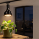 Luminária LED em trilho iluminando planta de interior à noite, demonstrando uso de luz artificial e fotoperíodo controlado para crescimento saudável.