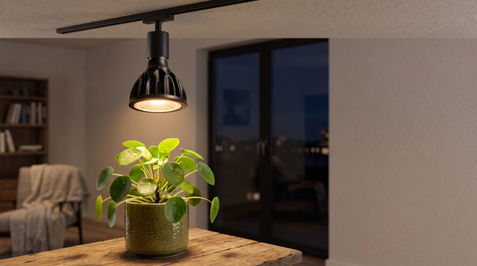 Luminária LED em trilho iluminando planta de interior à noite, demonstrando uso de luz artificial e fotoperíodo controlado para crescimento saudável.