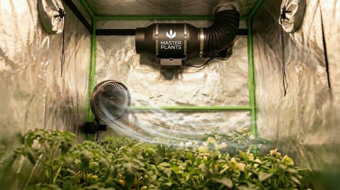 Sistema de ventilação e exaustão em estufa de cultivo indoor com ventilador e exaustor controlando temperatura e circulação de ar para climatização do grow.