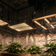 Painéis LED grow indoor instalados em estufa de cultivo, iluminando plantas com eficiência, distribuição uniforme de luz e controle de temperatura.