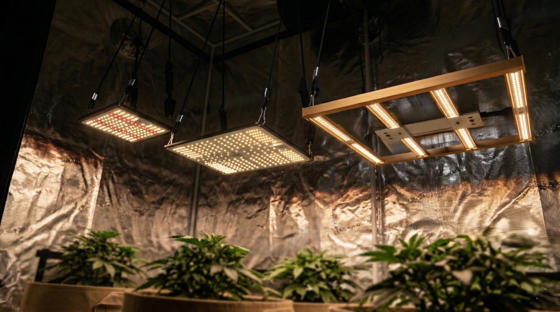 Painéis LED grow indoor instalados em estufa de cultivo, iluminando plantas com eficiência, distribuição uniforme de luz e controle de temperatura.