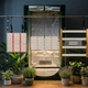 Iluminação LED para cultivo indoor em apartamento com painéis full spectrum suspensos ao lado de estufa grow, demonstrando diferentes modelos para plantas em ambientes internos.