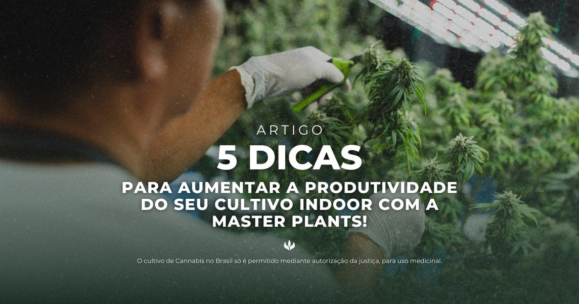 5 Dicas para Aumentar a Produtividade do seu Cultivo Indoor com a Master Plants