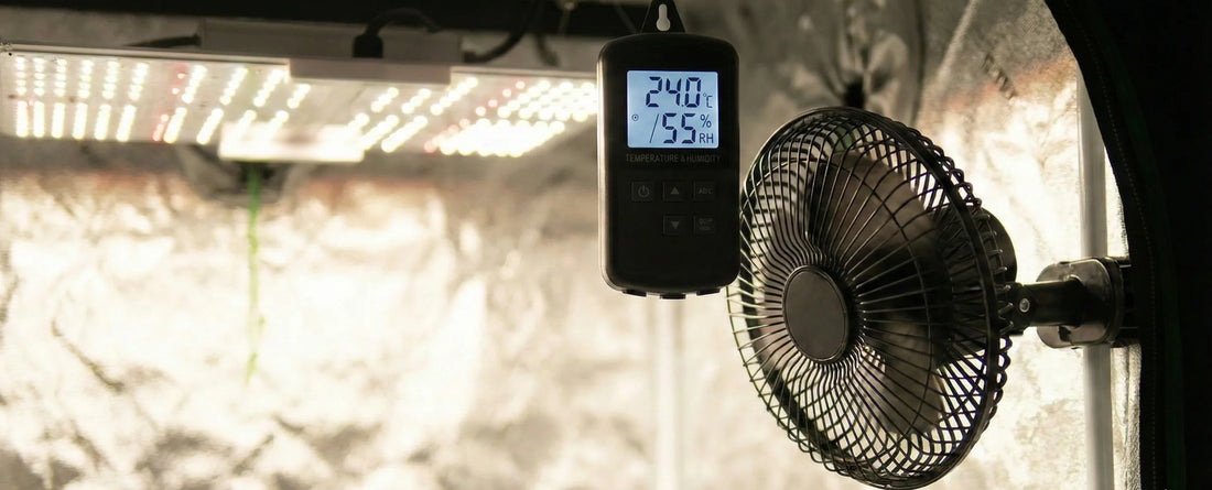 Termo-higrômetro digital marcando 24°C e 55% de umidade ao lado de ventilador em estufa de cultivo indoor com iluminação LED, destacando controle climático.