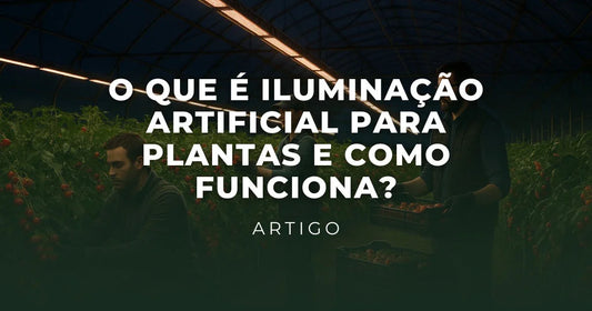 O que é Iluminação Artificial para Plantas e Como Funciona?