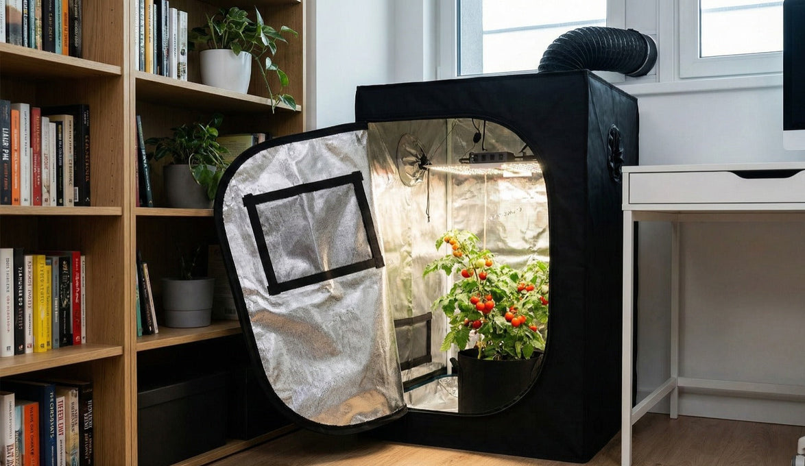 Estufa indoor masterplants doméstica com cultivo sob luzes LED de crescimento, instalada em ambiente interno ao lado de estante de livros e mesa de escritório