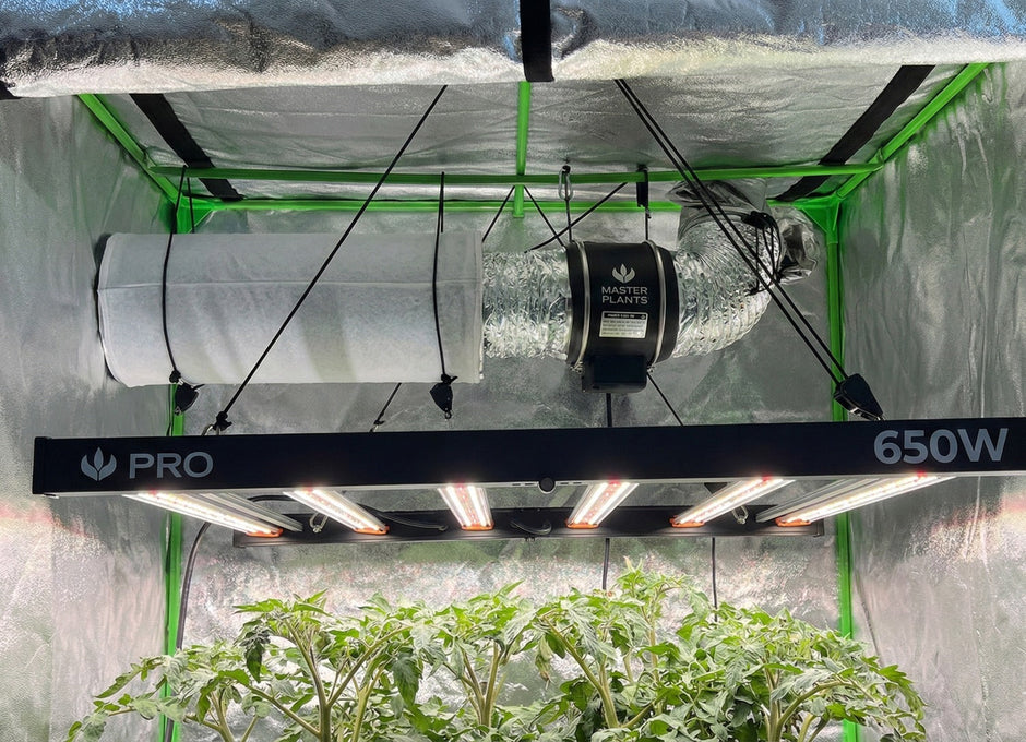 Duto de ar e Filtro de carvão Master Plants com LED de qualidade dentro de uma estufa de cultivo indoor