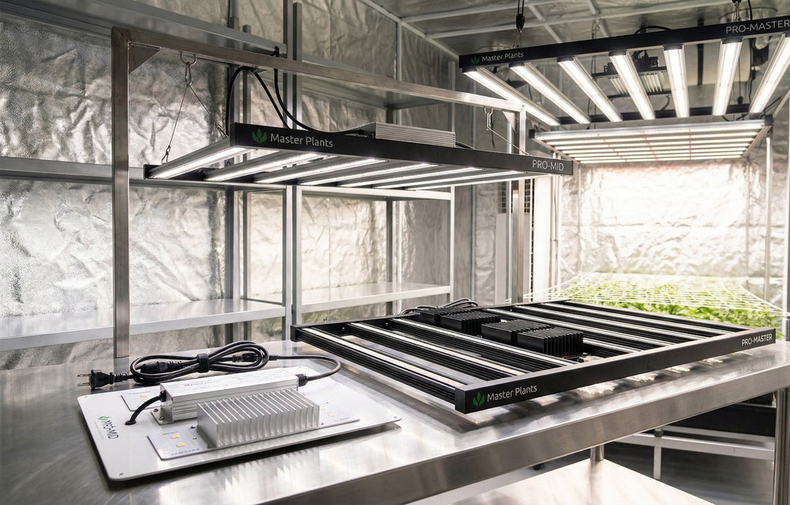 Painéis de LED Master Plants PRO-MID e PRO-MASTER instalados em estufa indoor, destacando diferenças de estrutura, potência e eficiência para cultivo, crescimento e floração.