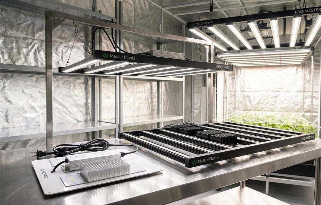 Painéis de LED Master Plants PRO-MID e PRO-MASTER instalados em estufa indoor, destacando diferenças de estrutura, potência e eficiência para cultivo, crescimento e floração.