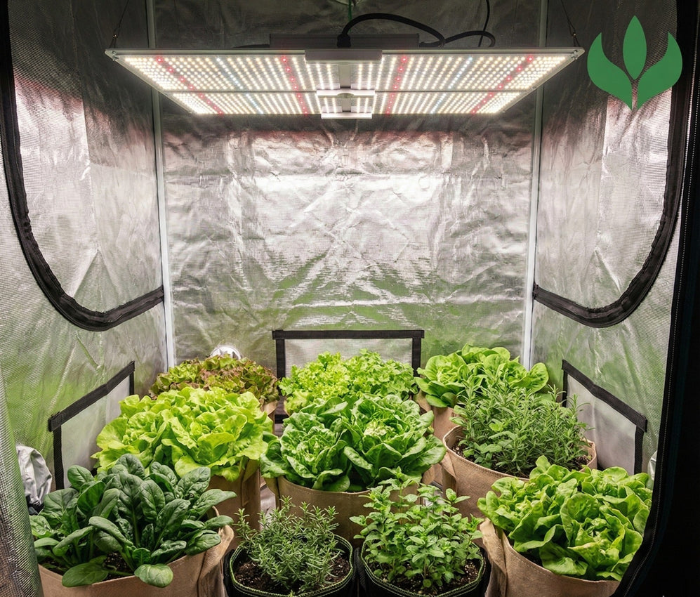 Estufa de cultivo indoor com iluminação LED para plantas, mostrando alfaces, espinafre e ervas cultivadas em vasos de tecido, ideal para horta caseira e cultivo hidropônico em ambiente controlado.