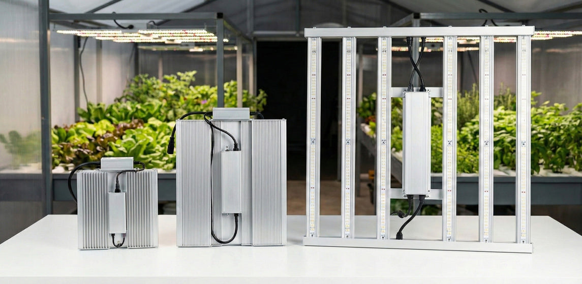 Painéis de LED da MASTERPLANTS para cultivo indoor com tecnologia Quantum Board e Quantum Barra, mostrando eficiência energética e aplicação em estufa de produção hortícola.