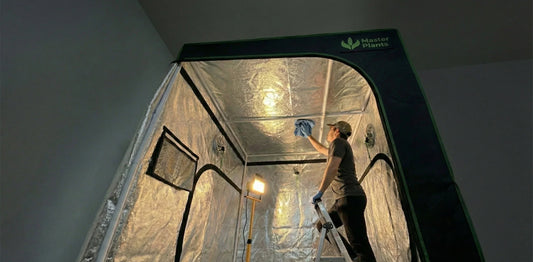 Pessoa realizando a limpeza interna de uma estufa grow Master Plants, higienizando o Mylar refletivo para garantir durabilidade, eficiência luminosa e prevenção de problemas no cultivo indoor.