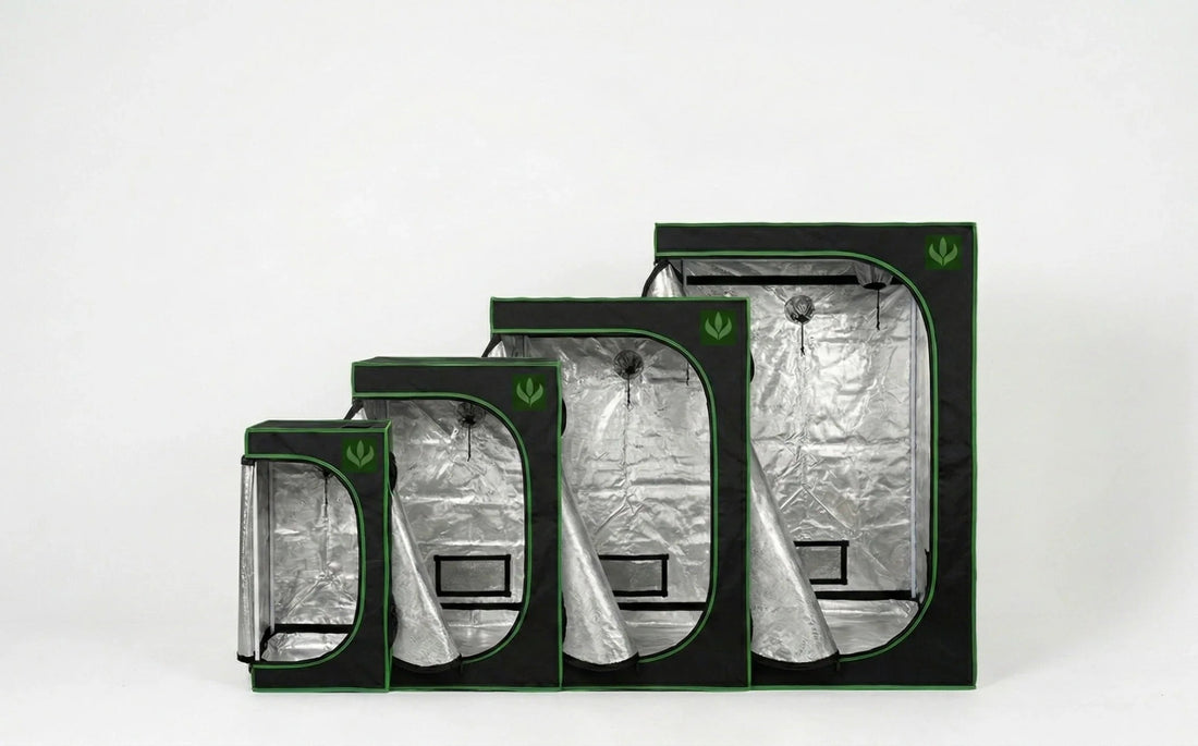 Estufas grow Master Plants em diferentes tamanhos (40x40, 60x60, 80x80 e 100x100), mostrando opções de dimensionamento para cultivo indoor conforme o projeto.