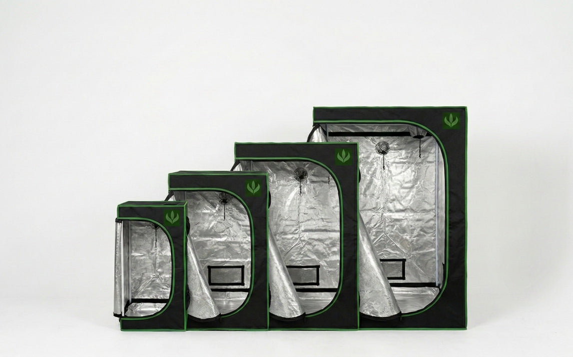 Estufas grow Master Plants em diferentes tamanhos (40x40, 60x60, 80x80 e 100x100), mostrando opções de dimensionamento para cultivo indoor conforme o projeto.